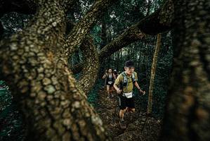 BIB: 
                            <button type="button" onclick="openModal(25698096)" class="btn btn-primary btn-sm float-right btn-popup" data-toggle="modal" data-target=".modal-high-quality">
                        <i class="fas fa-shopping-cart"></i> Add to Cart
                    </button>
                                            <button type="button" onclick="isThisMe(25698096, true)" class="btn btn-success btn-sm float-right btn-popup btn-isme hidden" data-toggle="tooltip" data-placement="bottom" title="นี่คือรูปของคุณใช่ไหม คลิกที่นี่เพื่อเอาเข้าอัลบั้ม">
                        <i class="fas fa-plus"></i> Add to album
                    </button>
                    <button type="button" onclick="isThisMe(25698096, false)" class="btn btn-warning btn-sm float-right btn-popup btn-isnotme hidden">
                        <i class="fas fa-ban"></i> Remove from album
                    </button>